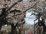 IMG_6235