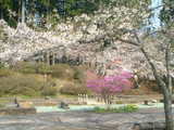 DSCF0114