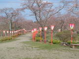 DSCF0060