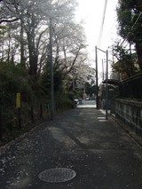 komiti