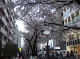 gaoka1
