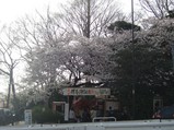 fudou1