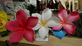 2f46b9a1.jpg