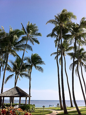 hawaii1