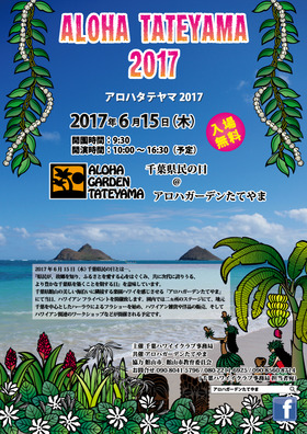 Web配布用