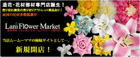 ad_lfm