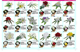 catalog