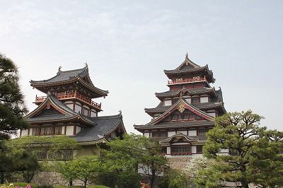 IMG_4883
