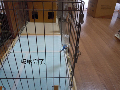 DSCN2297_2
