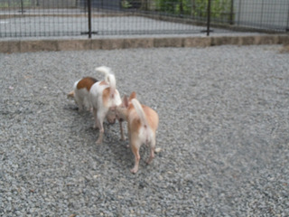 DSCN2414