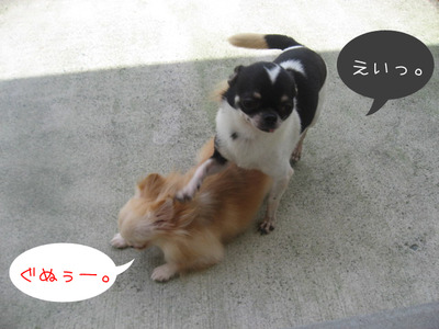 act_2