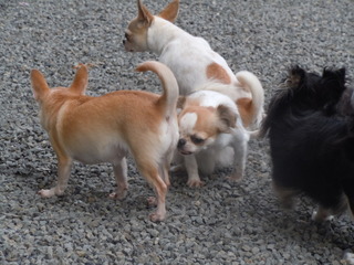 DSCN2415