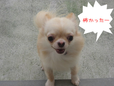act_4