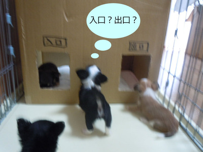 DSCN2282_2