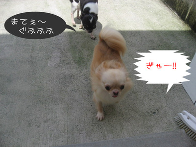 act_1
