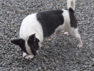 DSCN2439