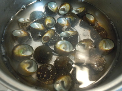 DSCN2527