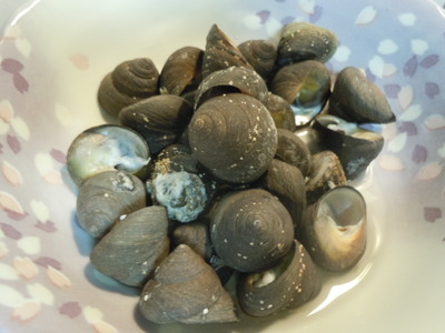 DSCN2529