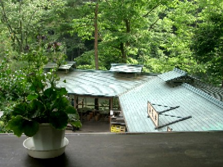 08482920.jpg
