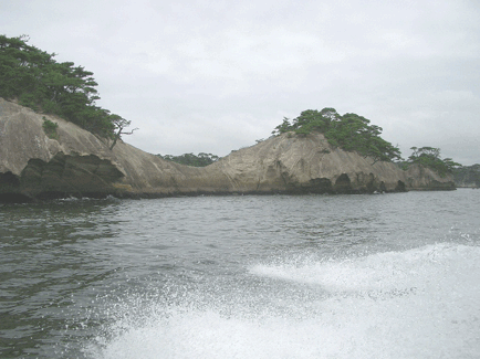 12a705b1.gif