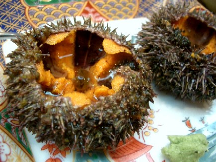 a670c89c.jpg