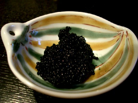 c02aed02.jpg