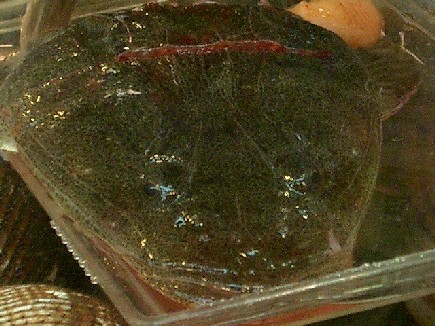d097d732.jpg