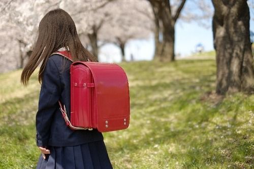 小５女児｢皮をむくときの力の加減が難しいｗ｣→→→
