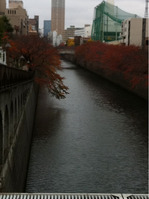 目黒川