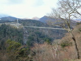 763d0368.jpg