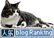 人気blogランキング参加中
