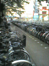 自転車駐輪場