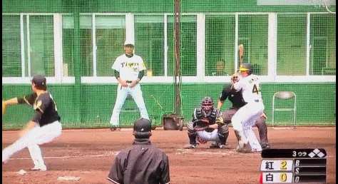 GIF