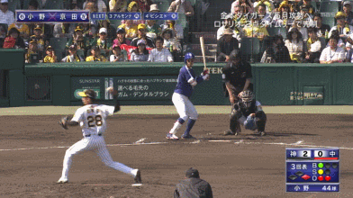 GIF