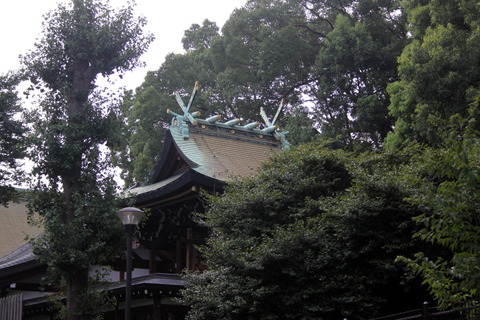 阿遅速雄(あぢはやお)神社本殿1