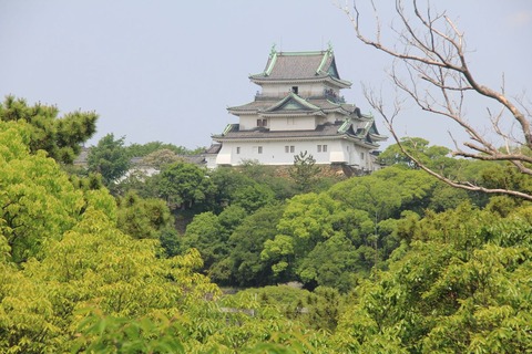 和歌山城遠望