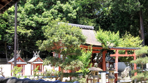 宇奈太理坐高御魂神社の本殿