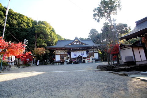 恩智神社3拝殿