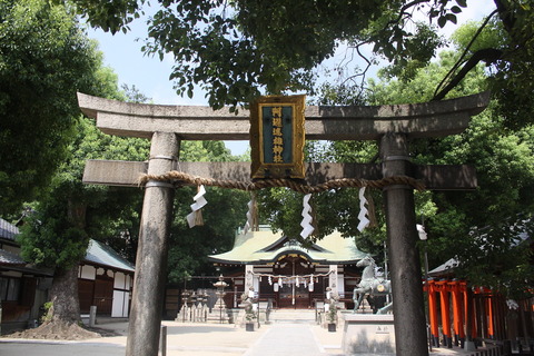 阿遅速雄(あぢはやお)神社鳥居1