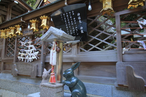 本殿の兎