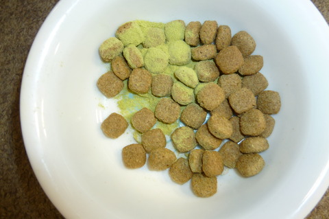 P1000231