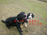 BlogPaint