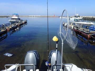 P5200069