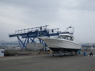 IMGP5882