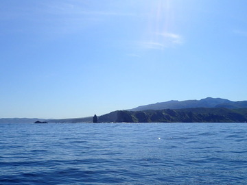 P9023296