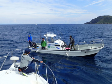 P9186566