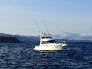 PA081606