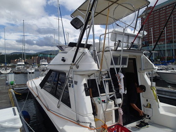 P8244886