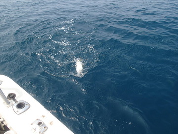 P8024501