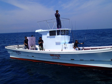 P8034623